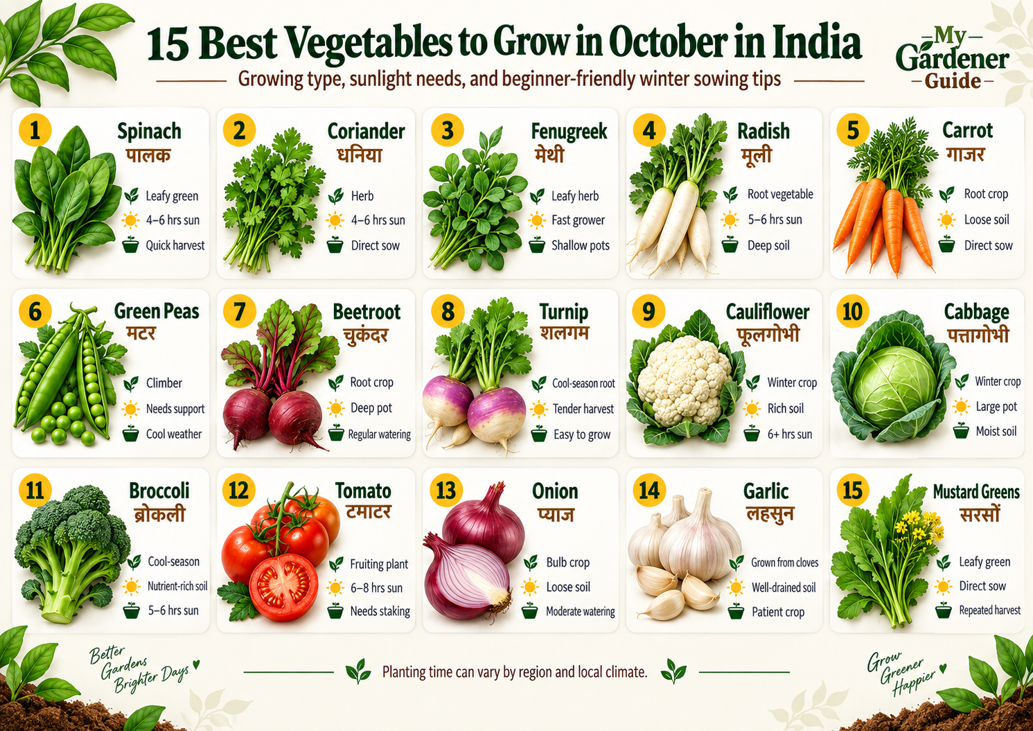 15 best vegetables to grow in October in India including spinach, coriander, methi, radish, carrot, peas, beetroot, cauliflower and other winter vegetables
